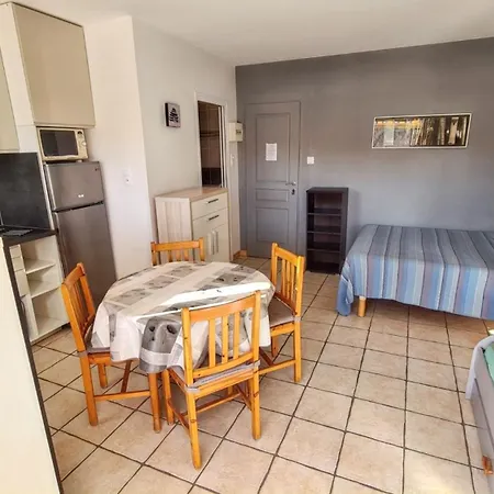 Confort A 20 M² Avec Barbecue Et Terrasse Appartamento *