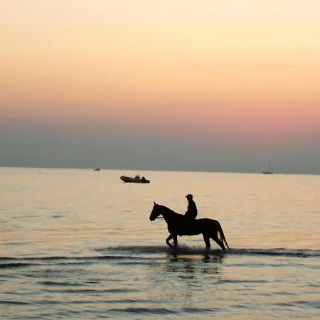 A A 50 M De La Avec Terrasse Amenagee Et Wifi *