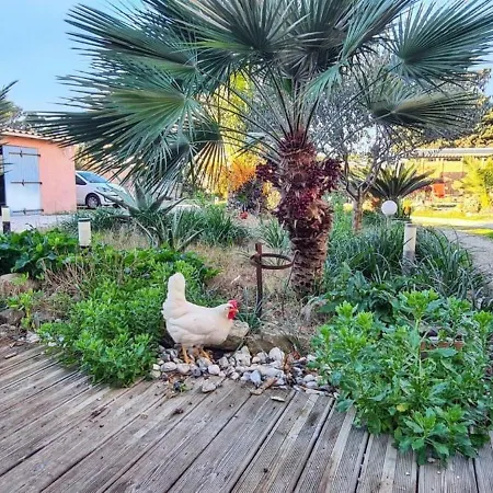 Apartament Confort A - 20 M² Avec Barbecue Et Terrasse Hyères