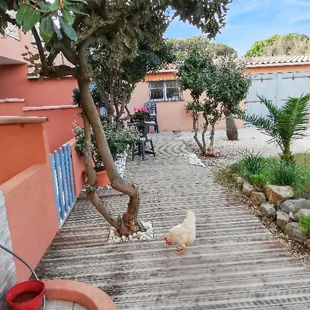 Confort A - 20 M² Avec Barbecue Et Terrasse Apartament *