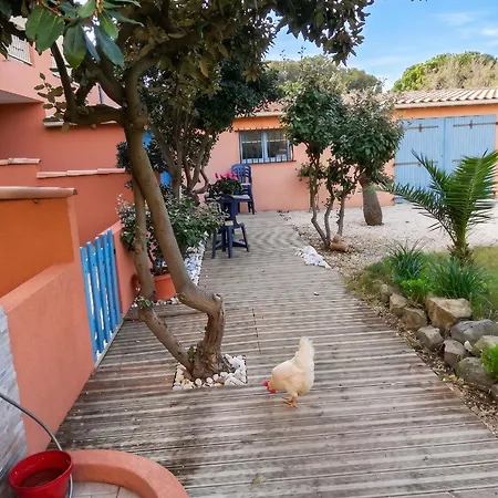 Confort A - 20 M² Avec Barbecue Et Terrasse Apartmán Hyères