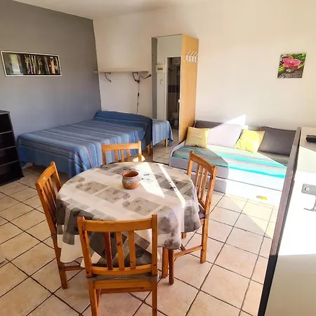 Confort A - 20 M² Avec Barbecue Et Terrasse Apartament