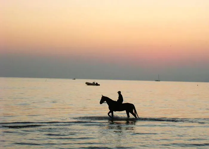 Confort A - 20 M² Avec Barbecue Et Terrasse *