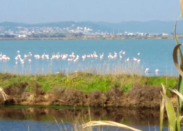 Confort A - 20 M² Avec Barbecue Et Terrasse Hyeres