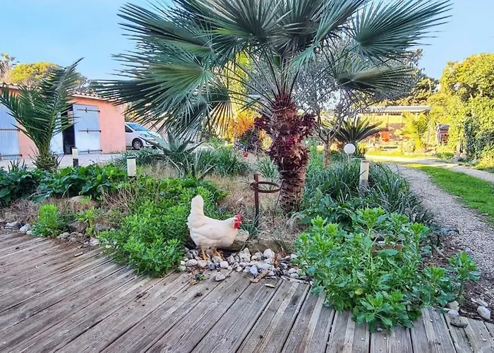 Apartment Confort A - 20 M² Avec Barbecue Et Terrasse Hyeres