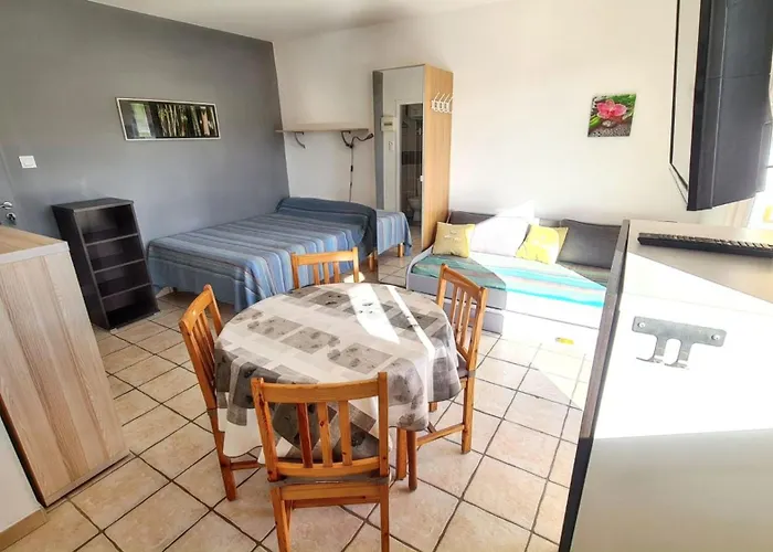 Apartment Confort A - 20 M² Avec Barbecue Et Terrasse