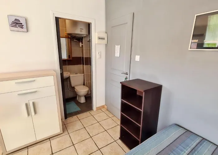 Confort A - 20 M² Avec Barbecue Et Terrasse *