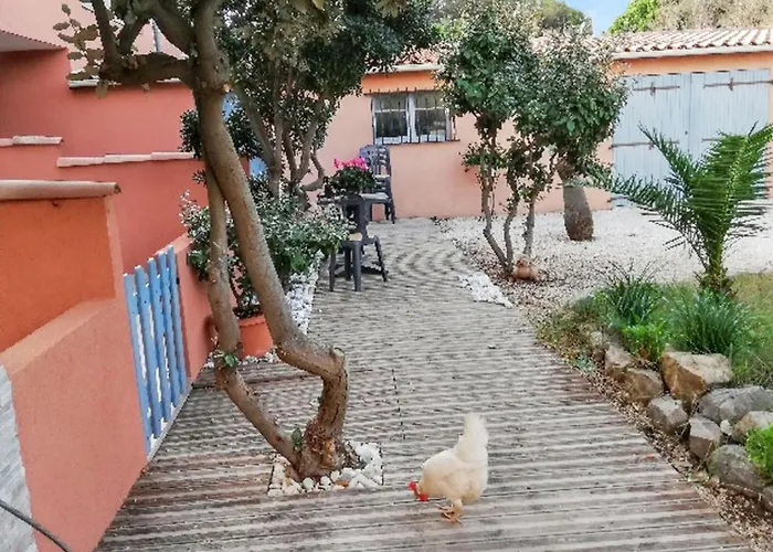 Confort A - 20 M² Avec Barbecue Et Terrasse Apartment *